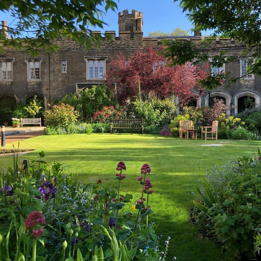 Open Gardens Evenings - charterhouse-open-gardens-infirmary - perfect green lawn - well planted beds