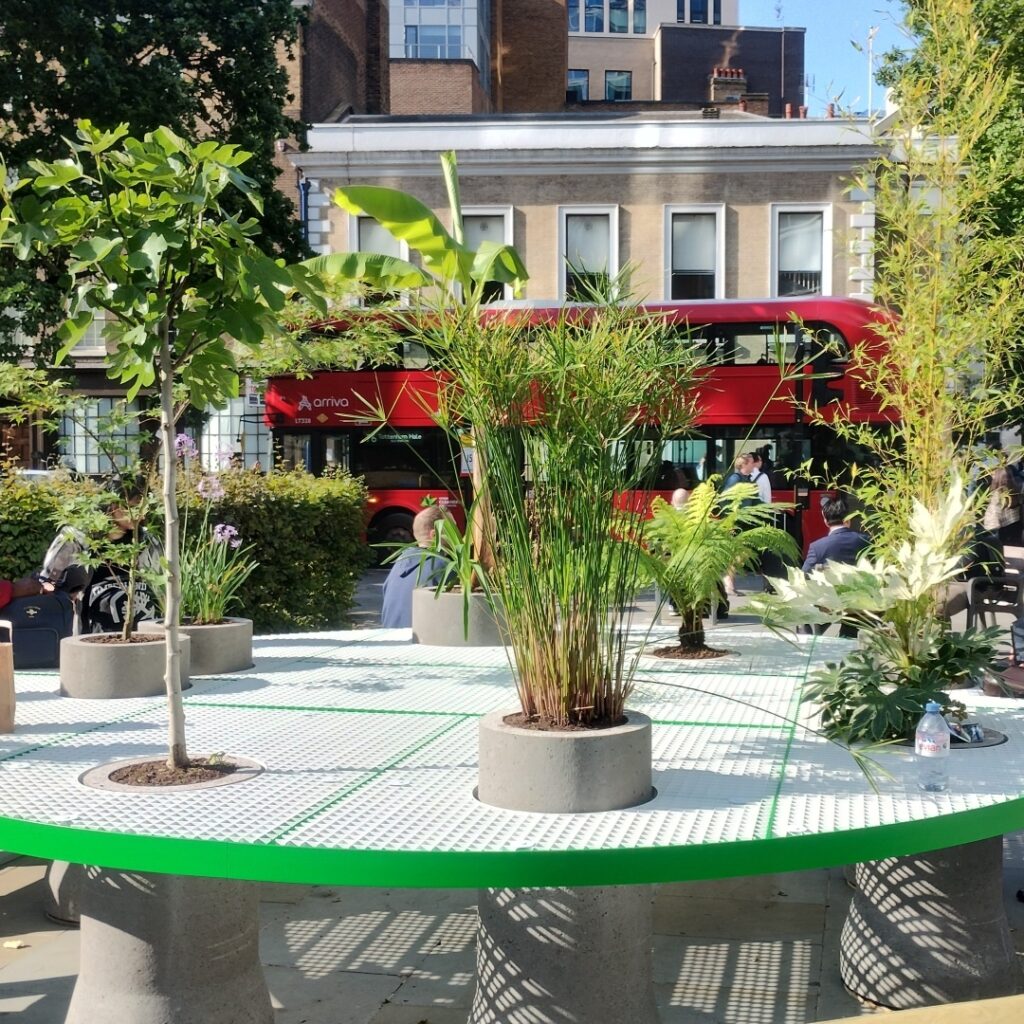 An outdoor table with plants. A red London bus in the background.