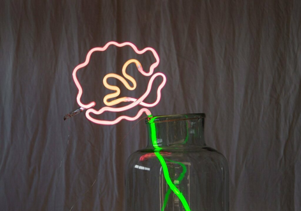 Neon flower displayed sitting in a large glass jar with a green neon stem, against a grey fabric backdrop.