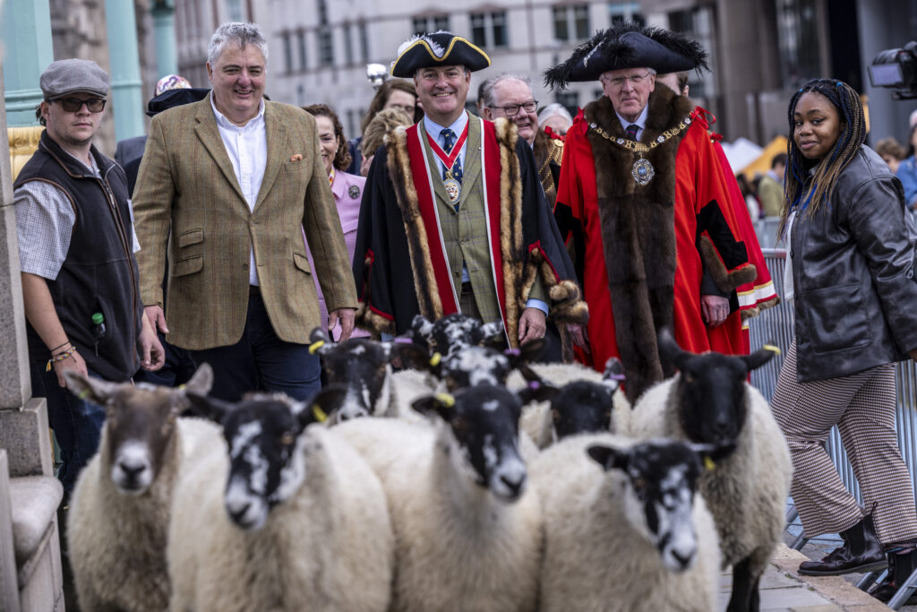 A group of people in traditional dress walking behind a flock of sheep in an urban setting.